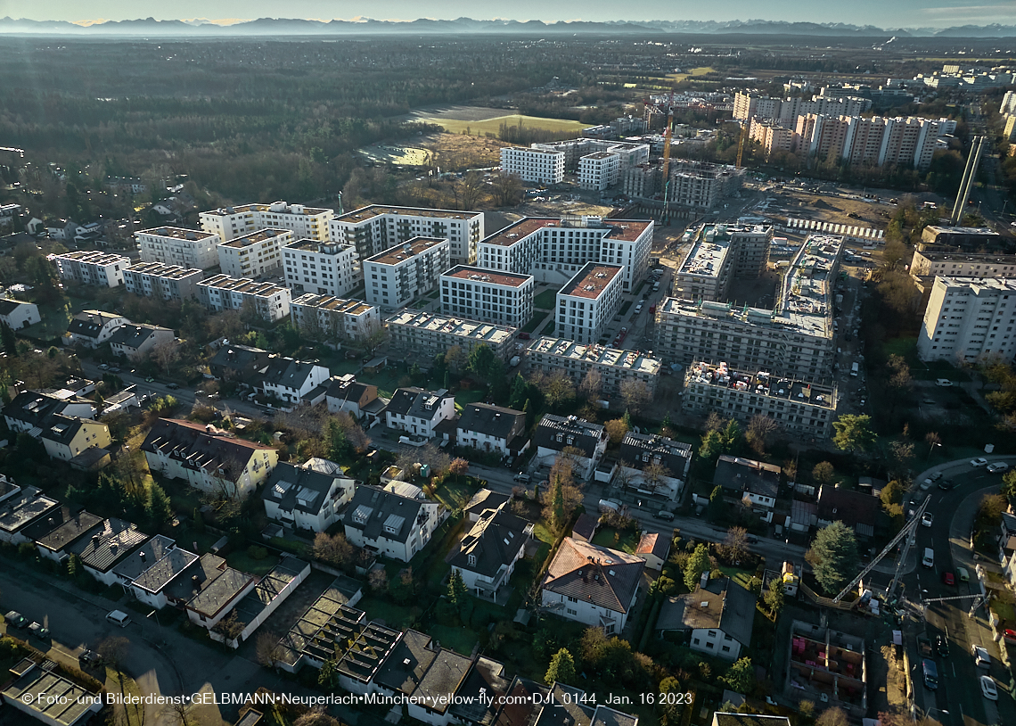 16.01.2023 - Alexisquartier und Pandion Verde